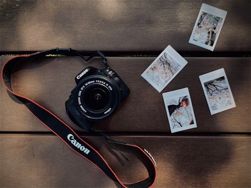 Free Top view of modern photo camera and instant photos of flowers composed together on wooden surface Stock Photo