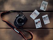 现代摄影机拍摄的木制表面上花朵组合的顶视即时照片