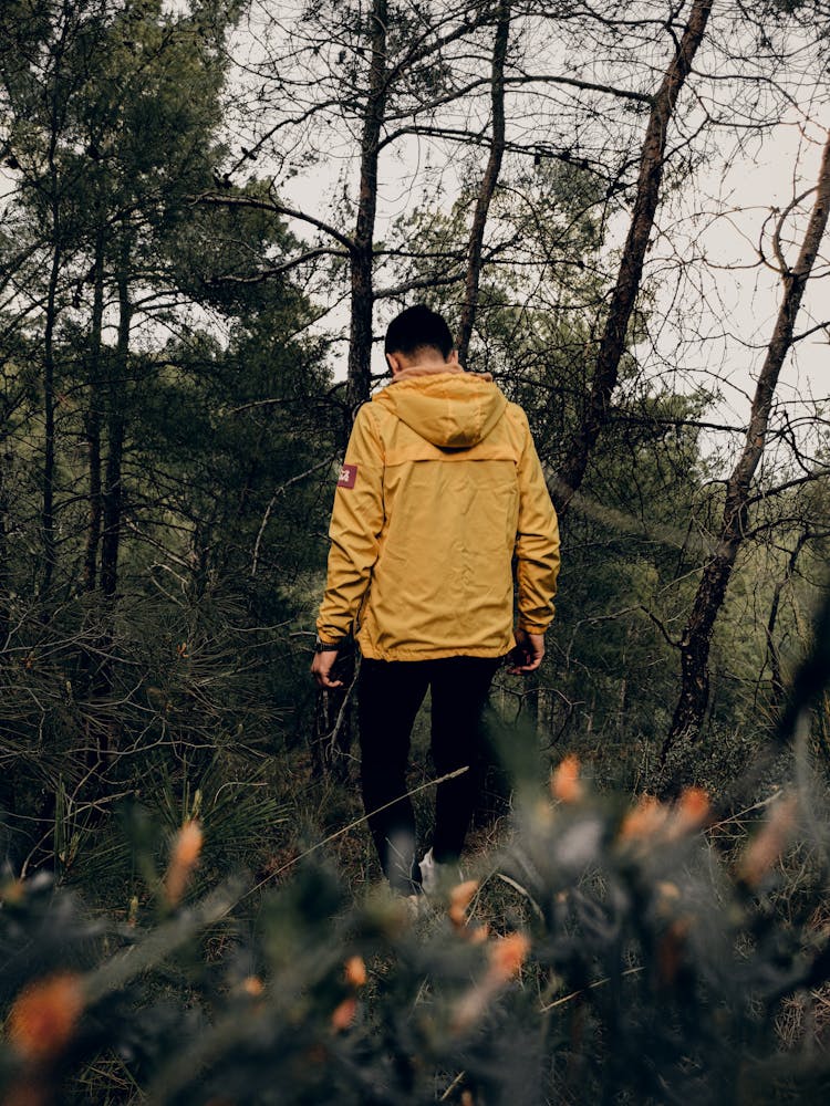 Man Walking Alone In Nature