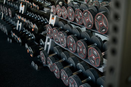 A neatly arranged set of dumbbells on a rack in a modern gym, ideal for fitness enthusiasts.