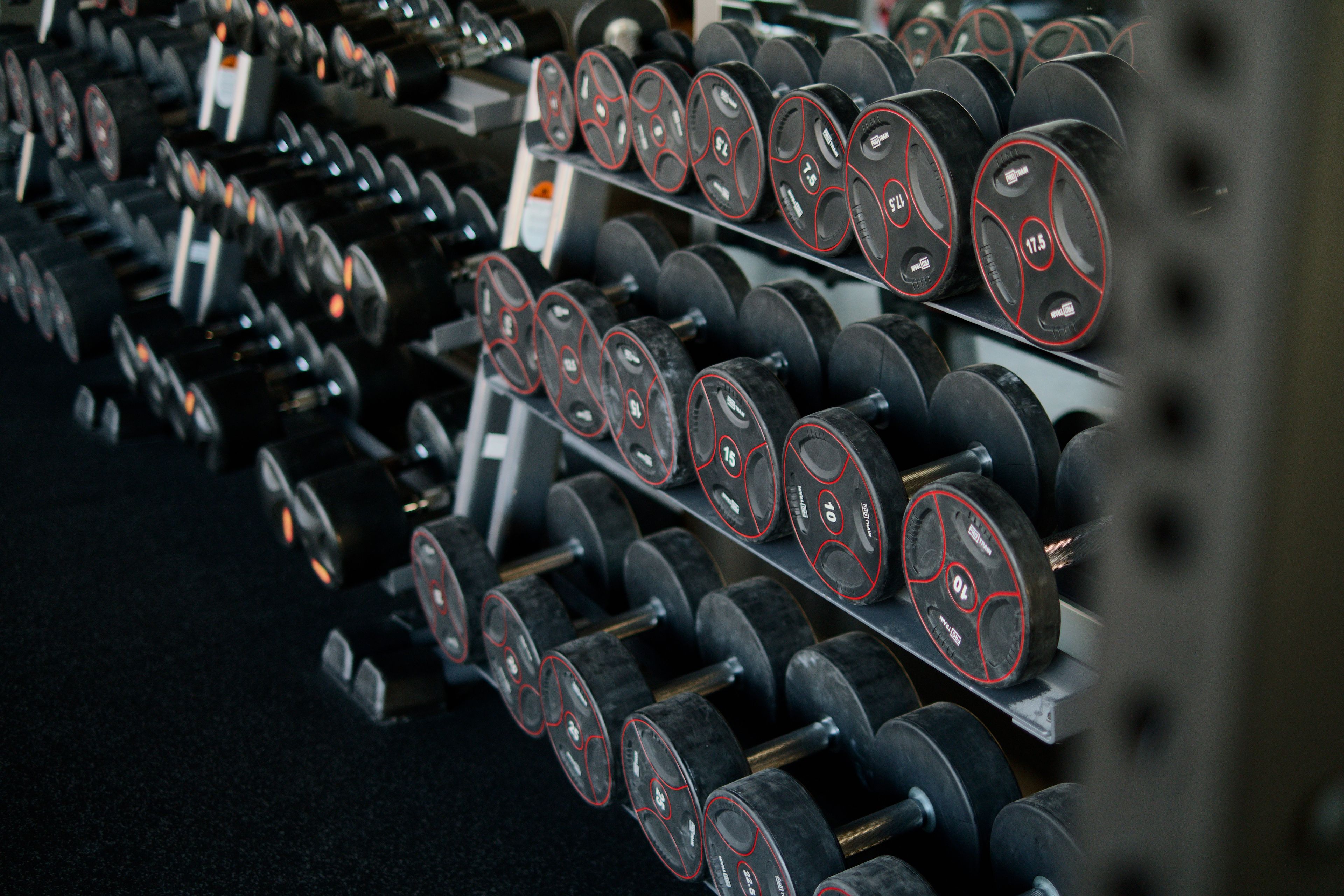 A neatly arranged set of dumbbells on a rack in a modern gym, ideal for fitness enthusiasts.