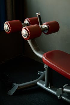 Close-up of red padded gym equipment in a fitness center with natural lighting.
