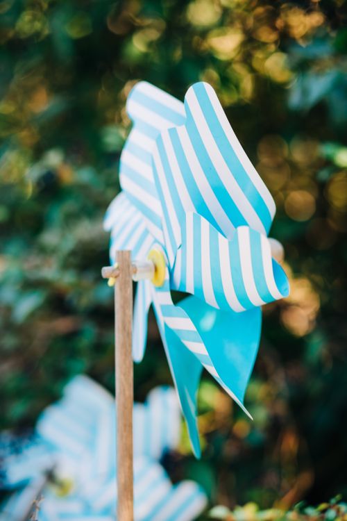 Free Stylish white and blue striped carton pinwheel on wooden stick placed in summer garden Stock Photo