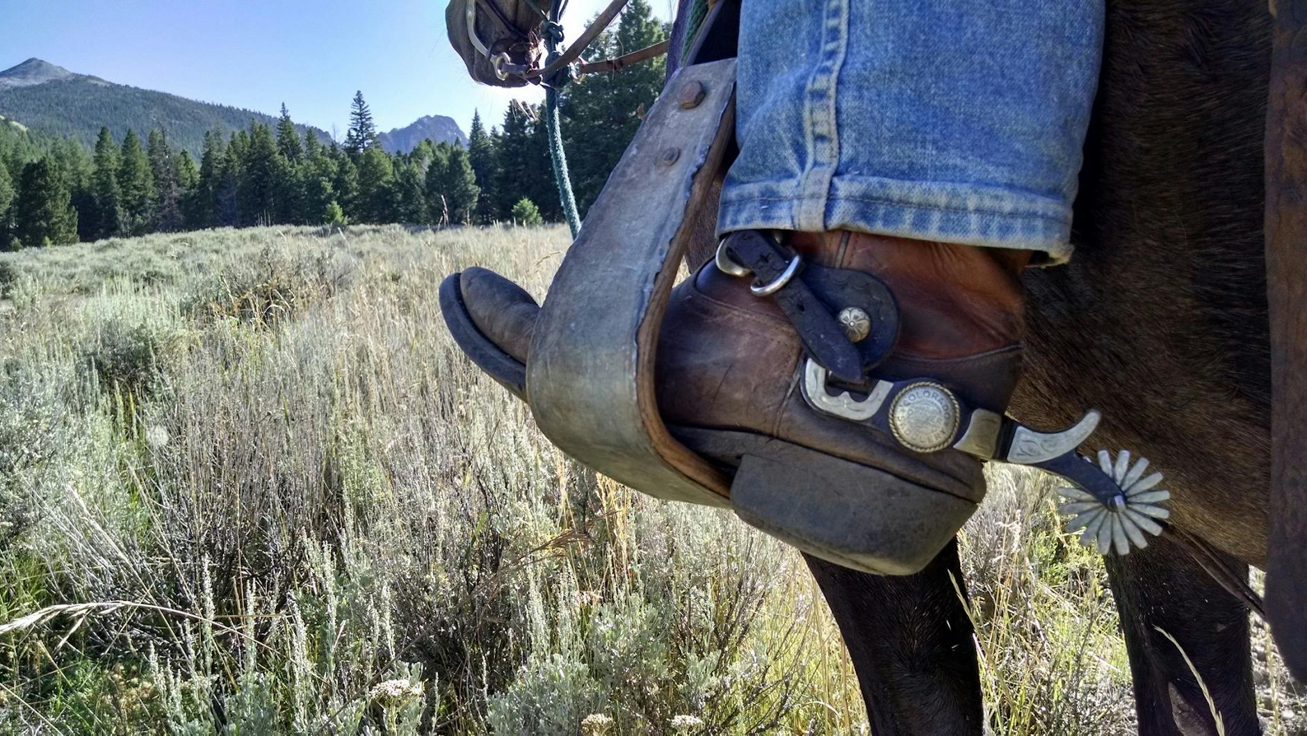 person wearing a riding boots