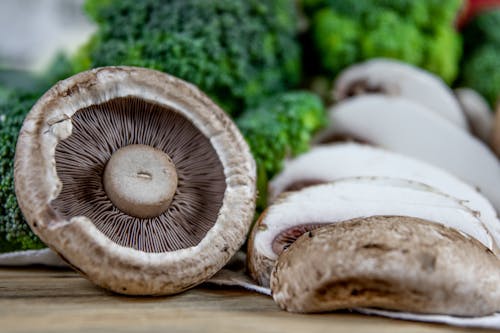 Brown and White Mushrooms in Close Up Shot