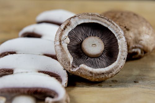 Brown and White Mushrooms in Close Up Shot