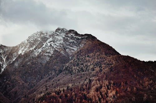 Dramatic ridge of mountains with snow covered slopes and coniferous trees under gloomy clouds