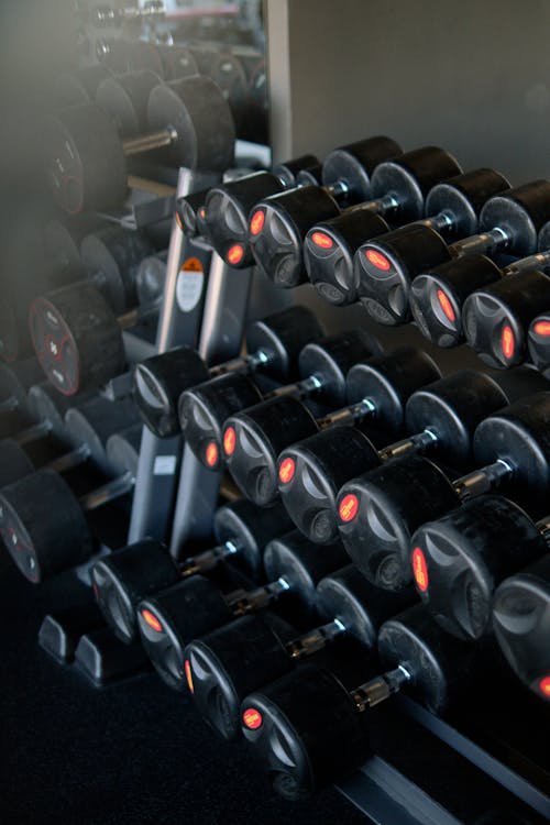 Free Black Dumbbells on a Rack Stock Photo