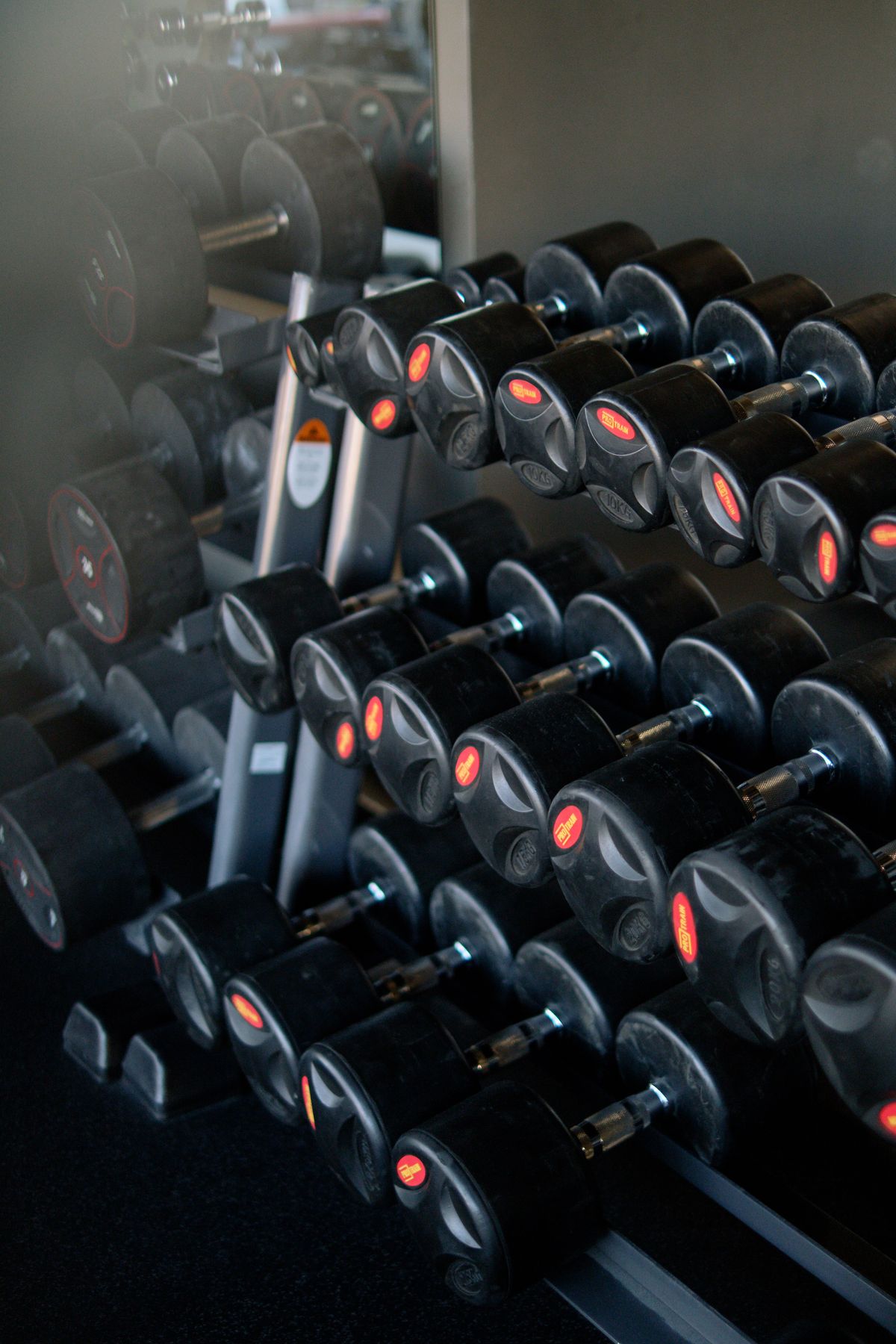 Black dumbbells neatly arranged on a strength training rack