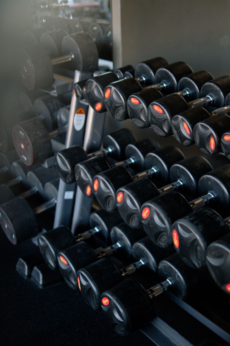 A rack of black dumbbells in a gym