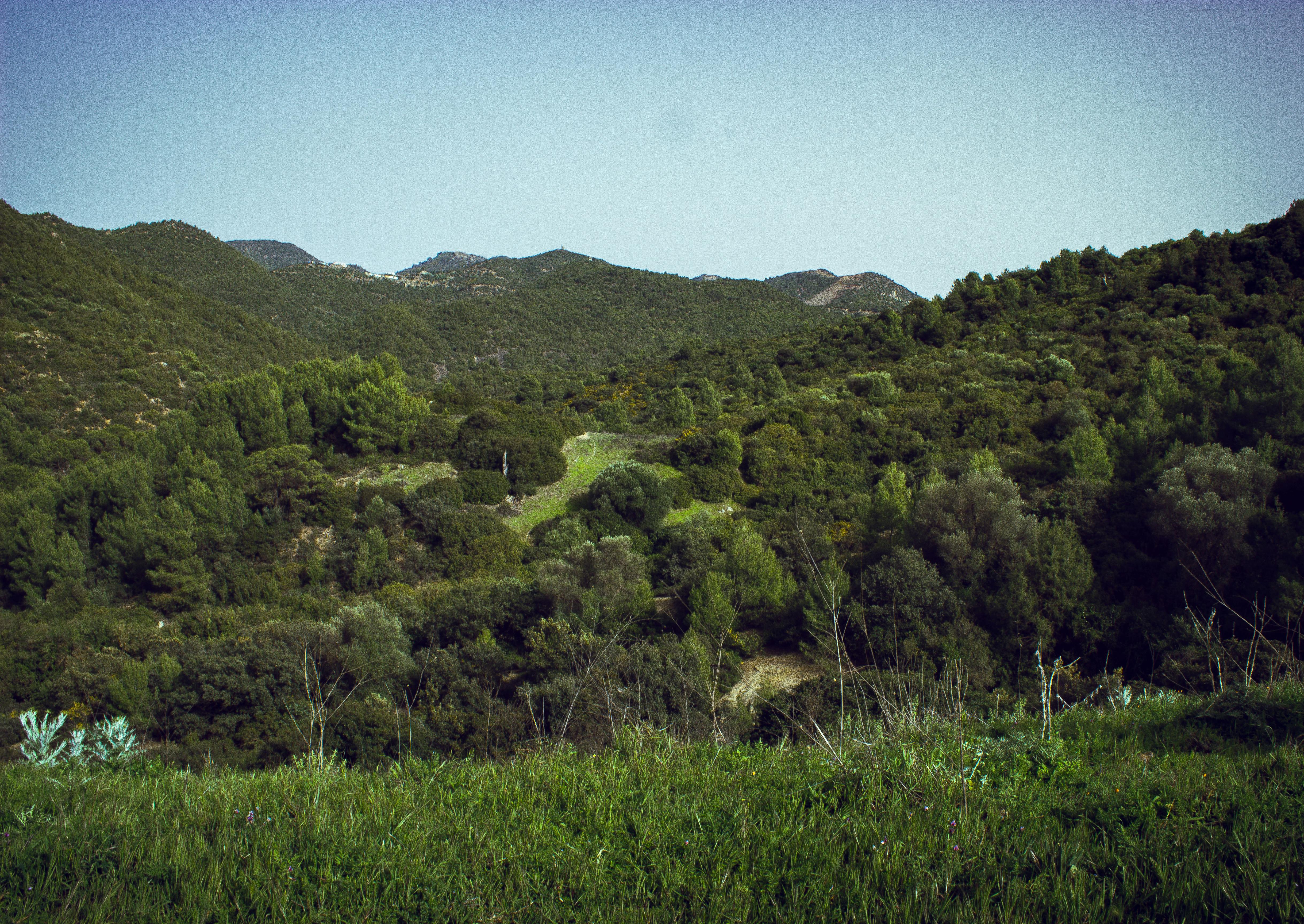 Thủ tục hoàn vé