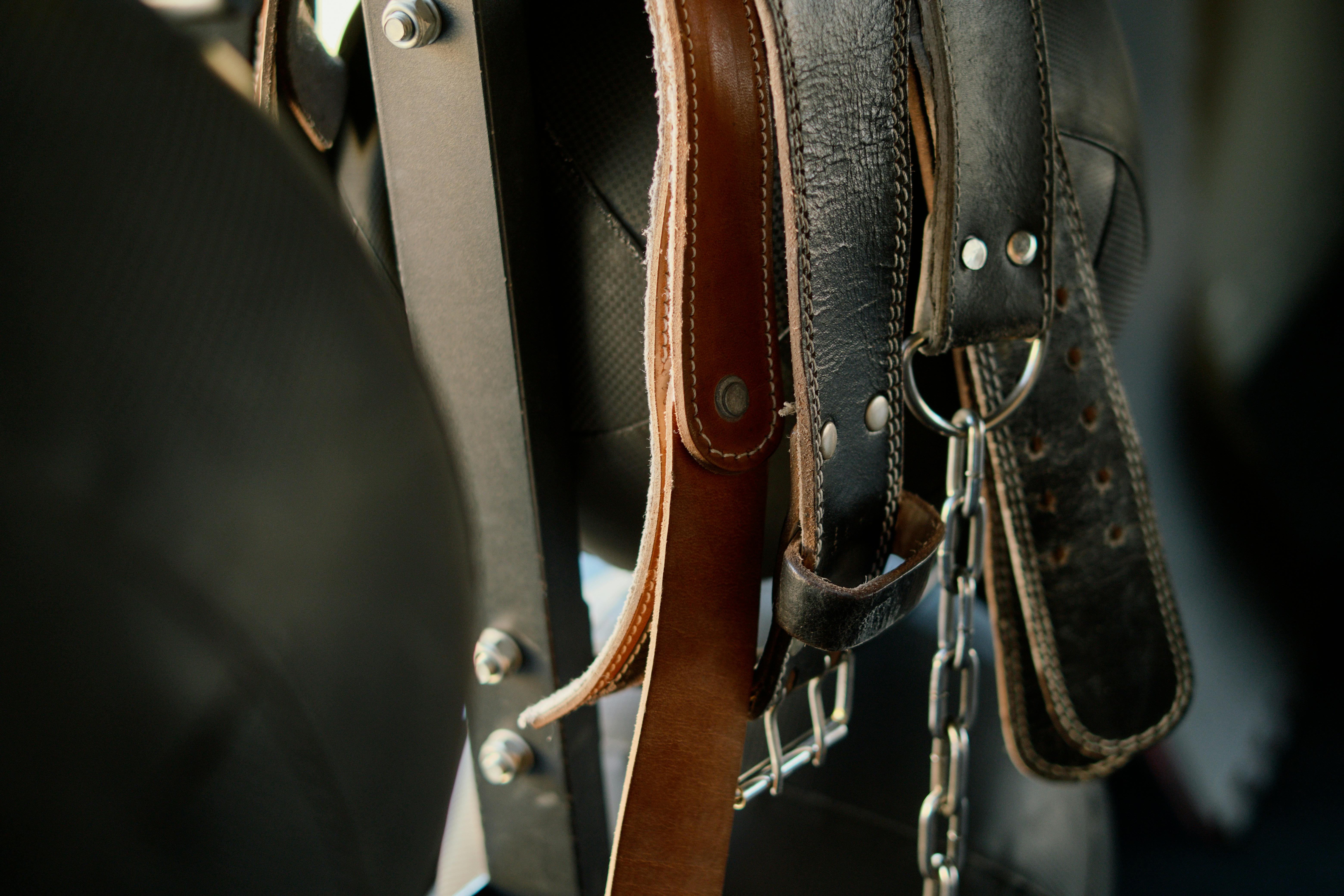 Shop Leather Belts  Made in the US  Tanner Goods