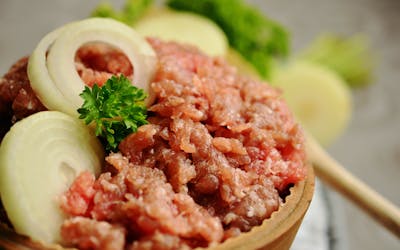 Kitten Care 101: First Week at Home