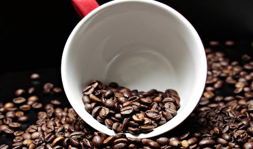 Free Coffee Beans in Mug Stock Photo