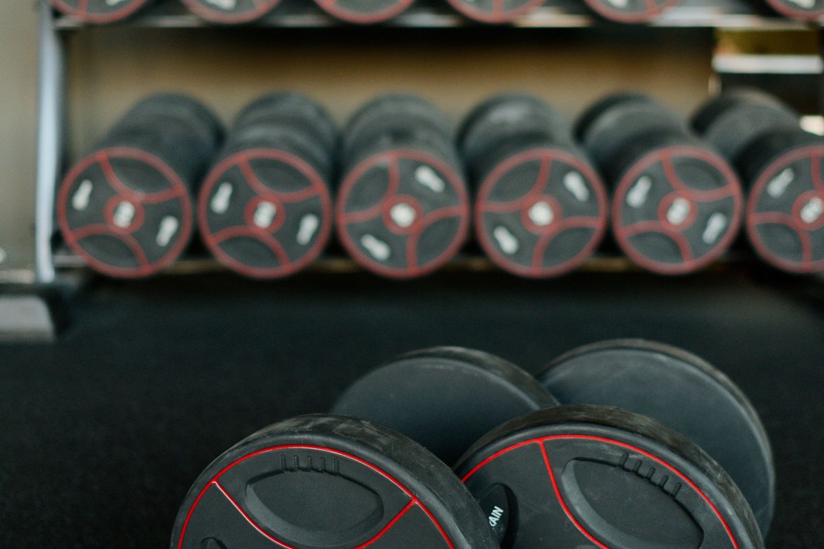 Dumbbells lined up in a gym for biceps training