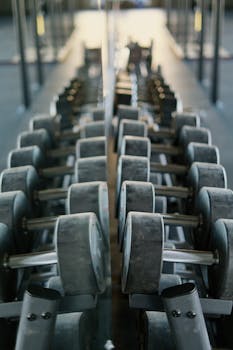 Dumbbells neatly organized on a rack, perfectly mirrored, exemplifying modern gym equipment organization.