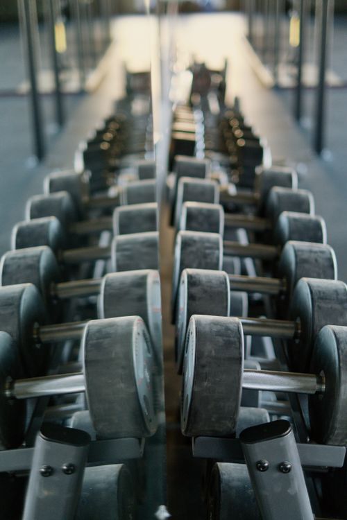 Free Dumbbells neatly organized on a rack, perfectly mirrored, exemplifying modern gym equipment organization. Stock Photo