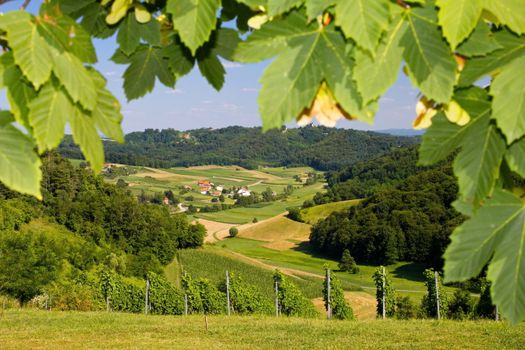 From above of agricultural field located among green trees and bushes near small town