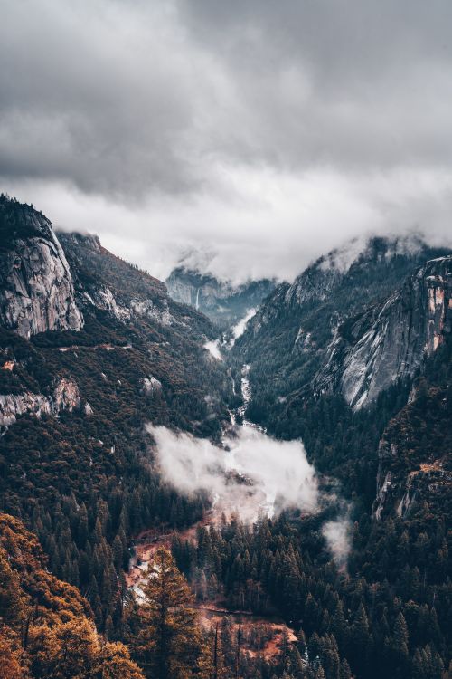 Free Picturesque scenery of green trees in woodland between high mountains covered with clouds Stock Photo