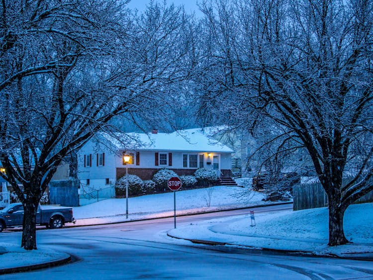 Dwelling House Near Snowy Road And Leafless Trees In Winter