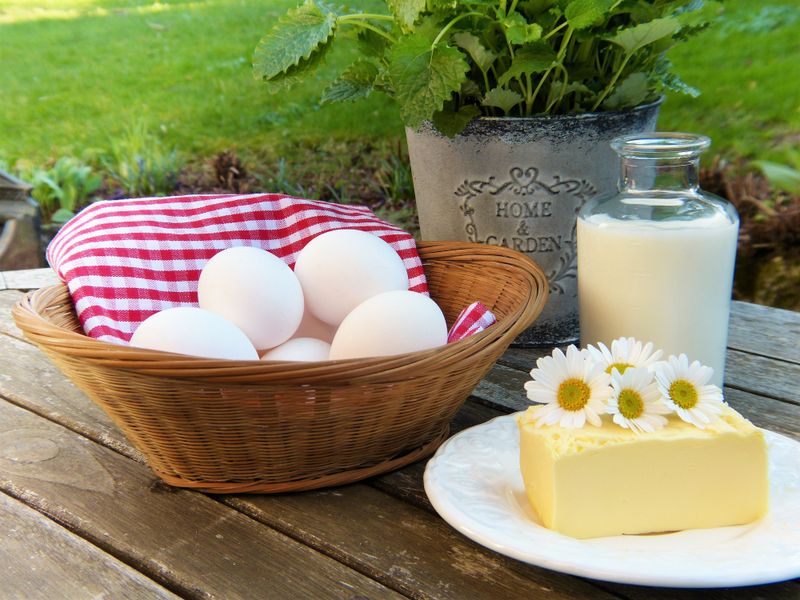 Fresh Farm Milk