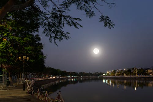 Free stock photo of ánh trăng, bờ sông, bụi cây