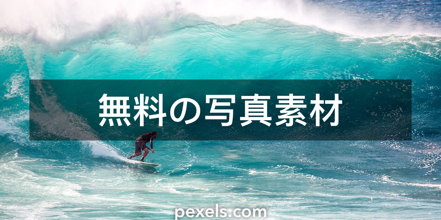 500 サーファーと一致する写真 Pexels 無料の写真素材