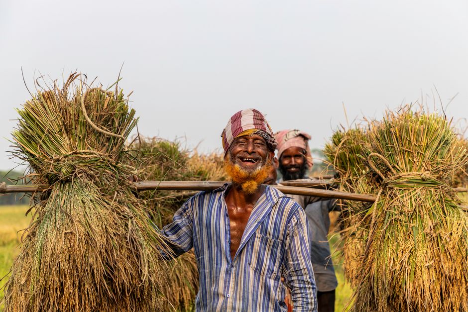 agricultural subsidies, farmer support
