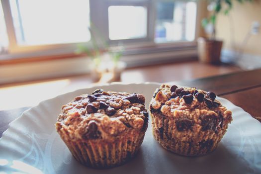Close-up of two chocolate chip muffins on a white plate with gentle sunlight.