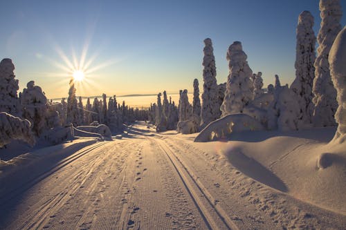 Δωρεάν στοκ φωτογραφιών με cross-country σκι, Ακτίνες ηλίου, απόγευμα