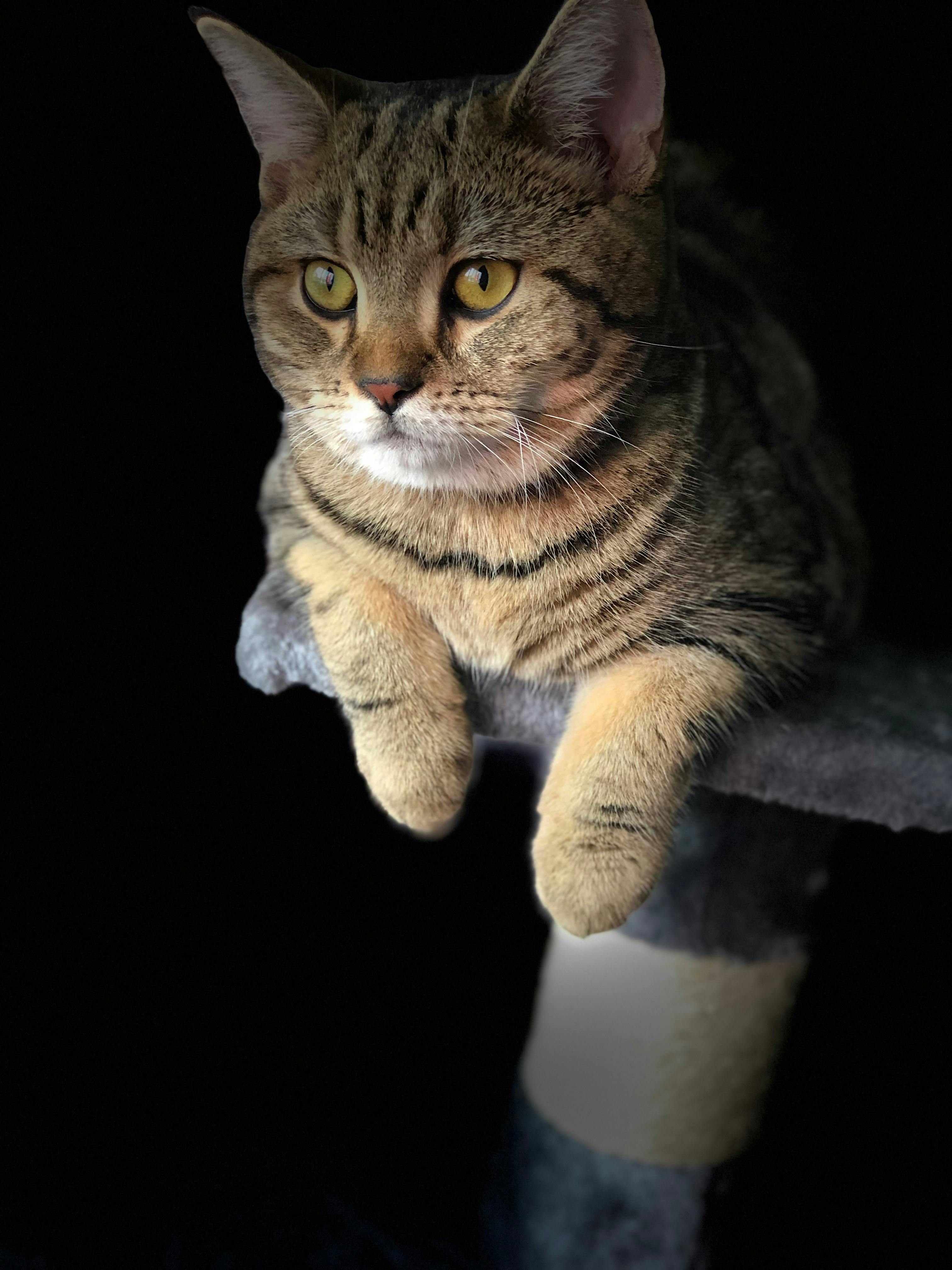 A person drinking water during intermittent fasting