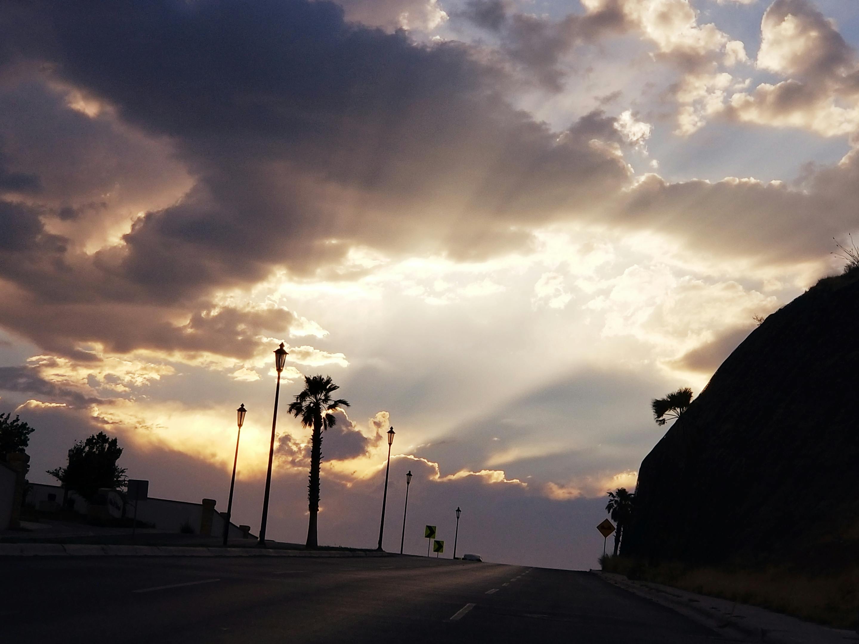 Mulher escrevendo em um caderno, simbolizando o planejamento e o acompanhamento de hábitos