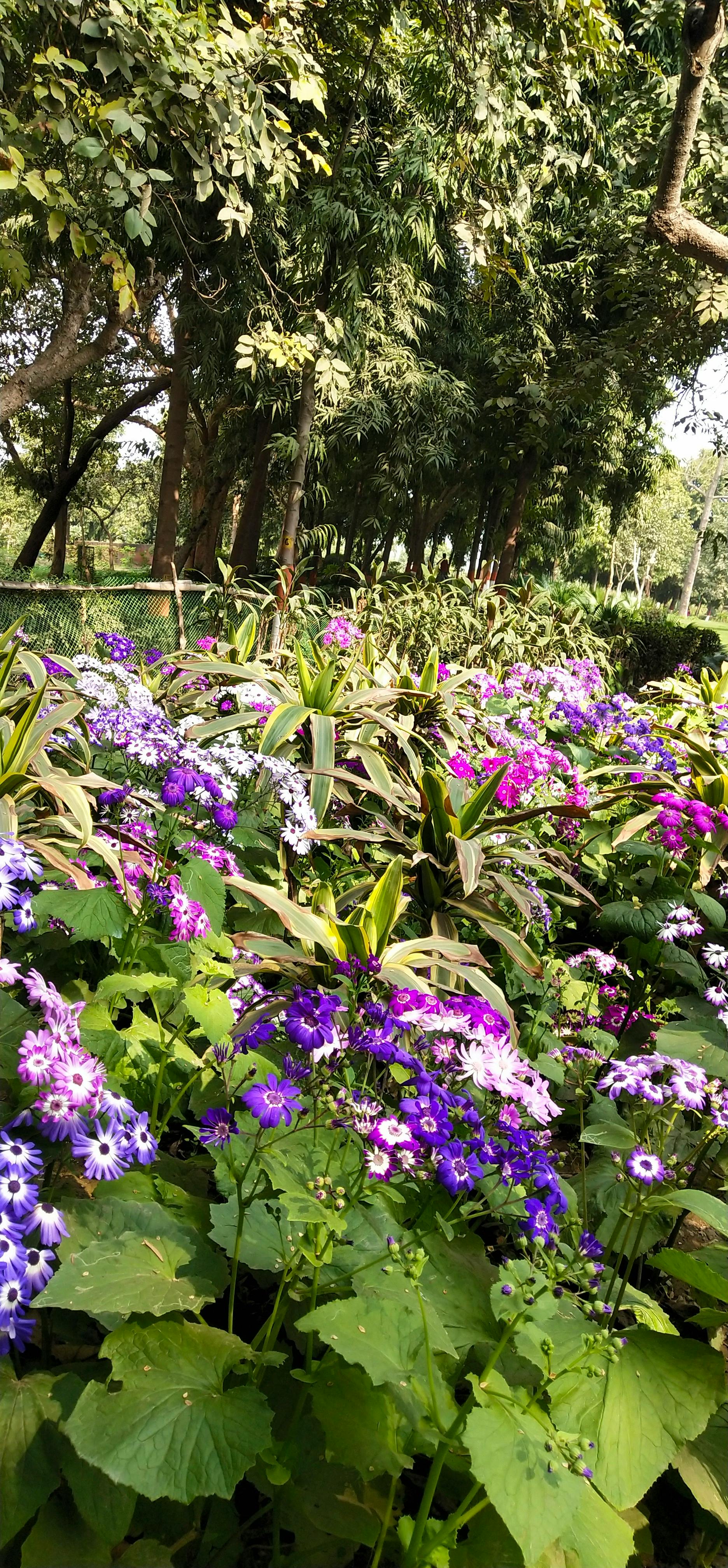 Person breaking a chain, symbolizing breaking bad habits