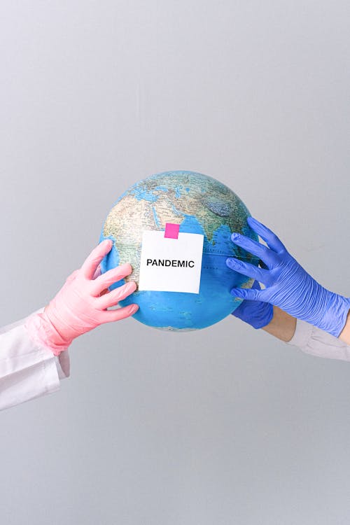 Hands With Latex Gloves Holding a Globe