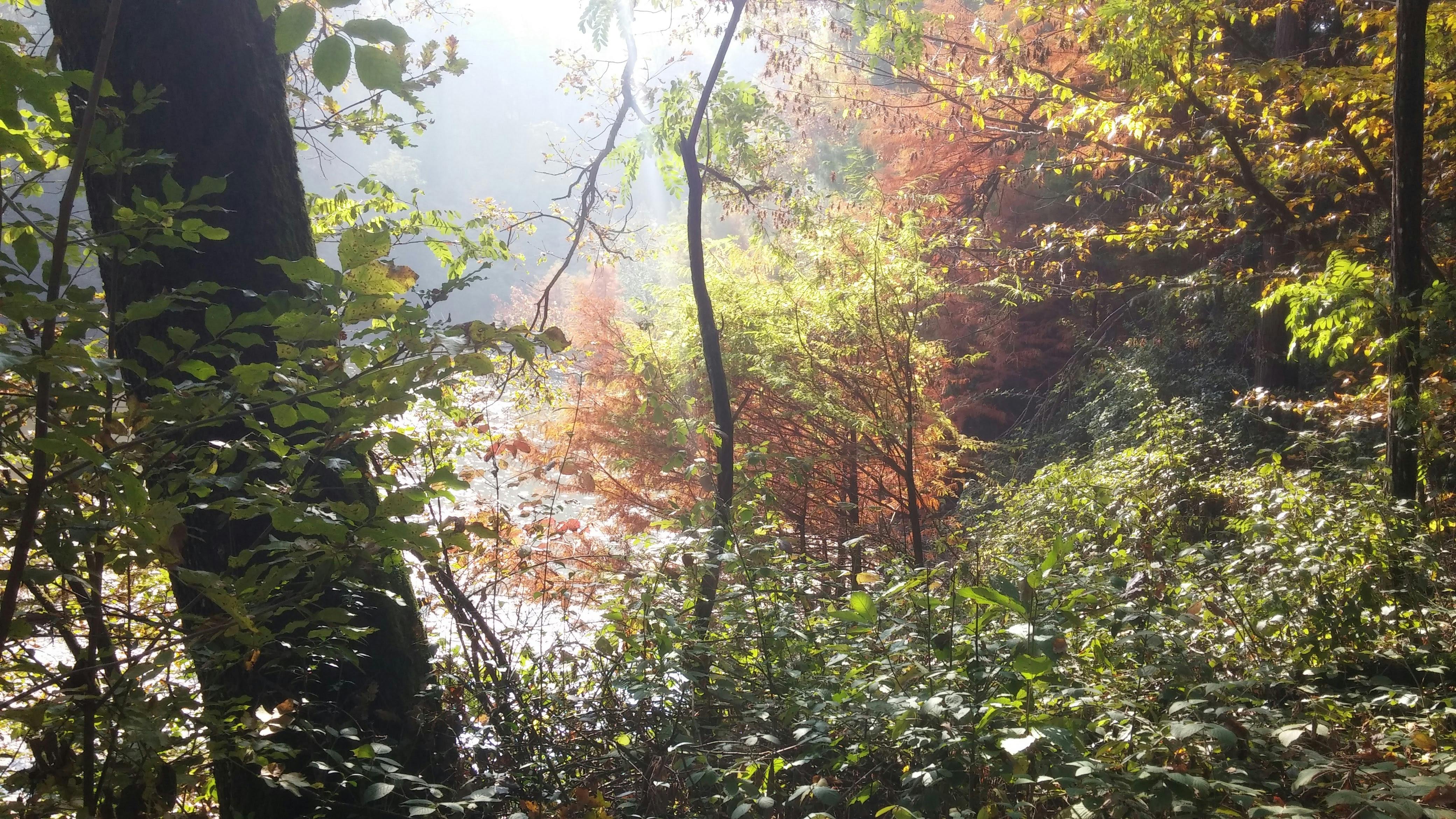 一个人正在做仰卧起坐,展示腹肌训练