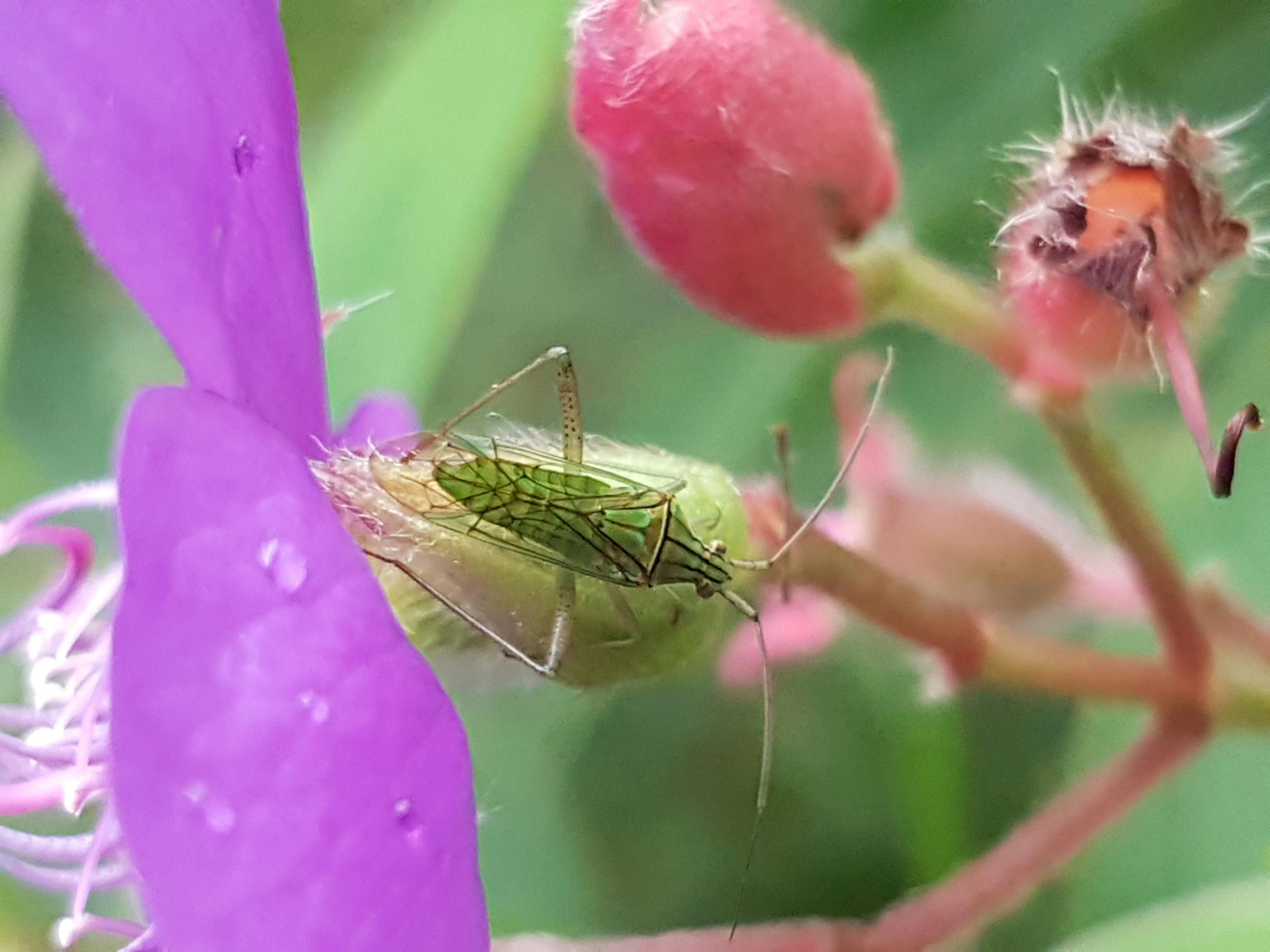 フィットネスジムでトレーニングする人々