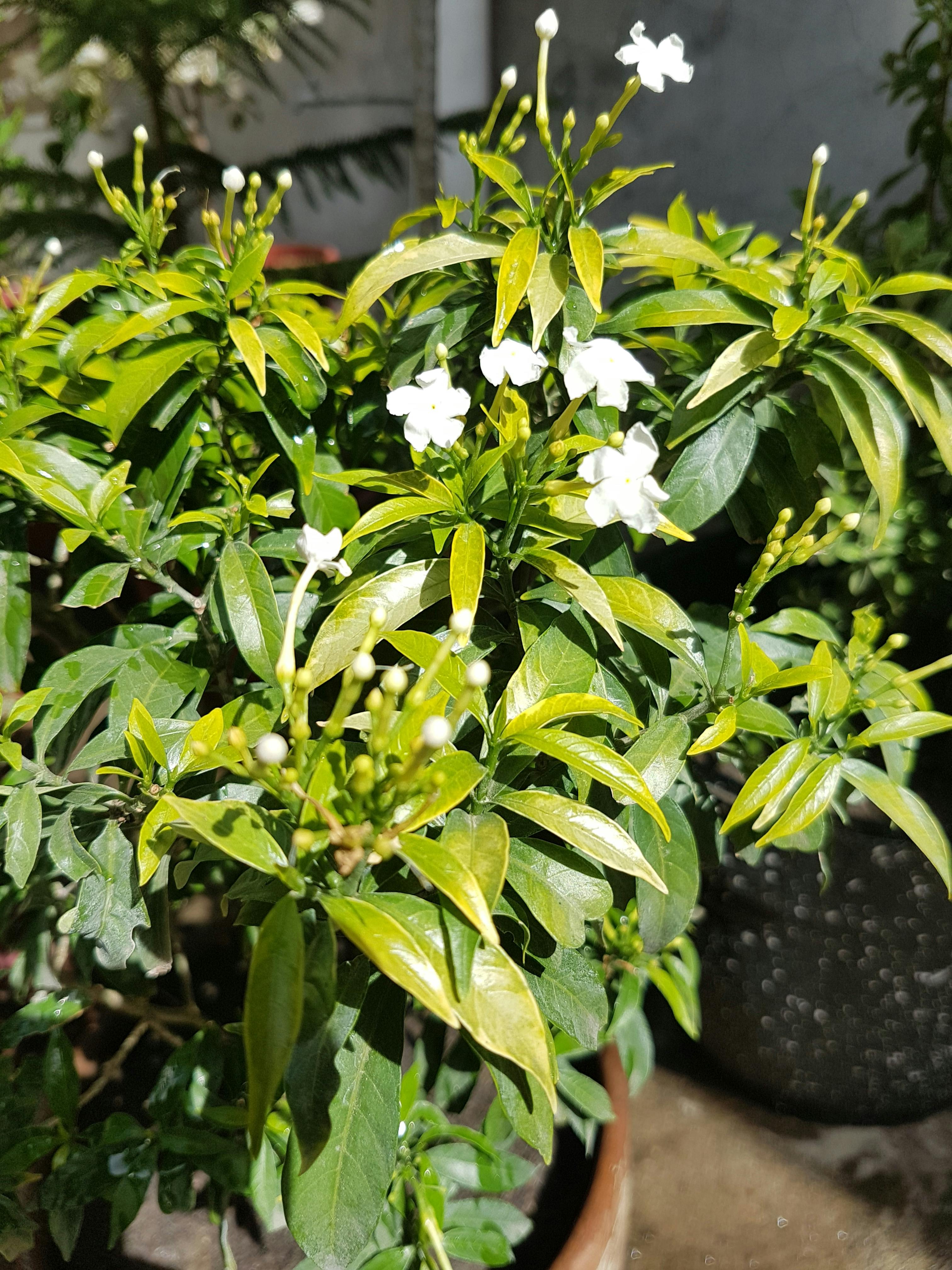 Mujer haciendo ejercicios de glúteos