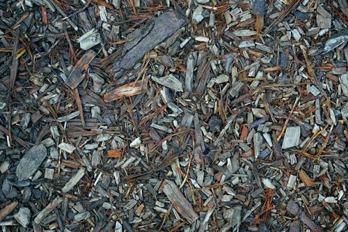 Free Close-up of wood chips on the ground with rich texture, natural mulch for gardens. Stock Photo