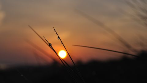 Dew is a tactical variable, not an excuse