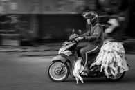 Black and white side view of ethnic motorcyclist in protective helmet riding motorbike with heap of dead geese on asphalt city road