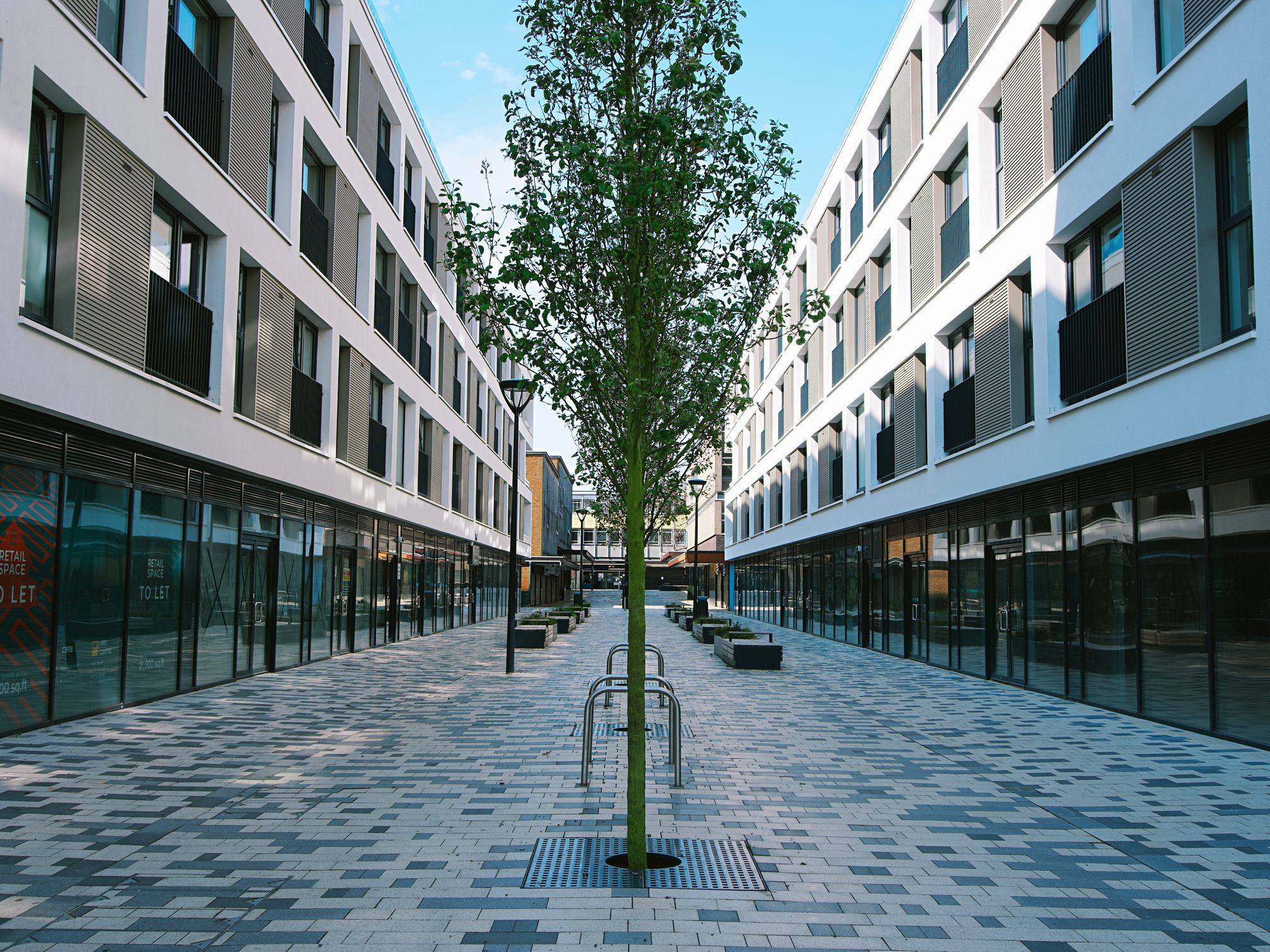 Student Removals in Hyde Park, Central London — student move with boxes and a van