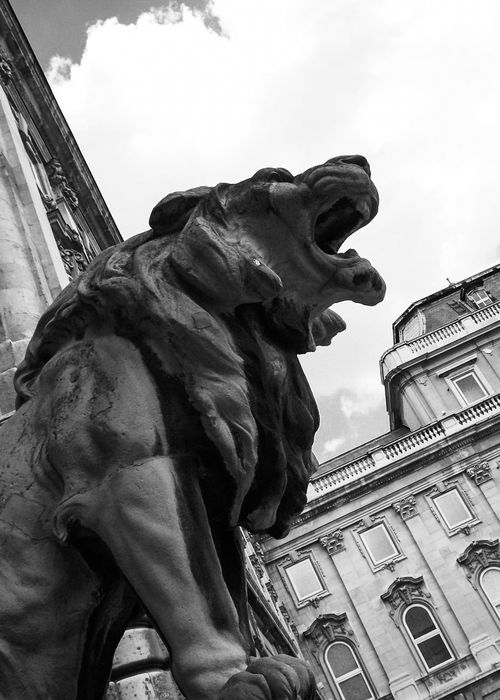 Free stock photo of budapest, courtyard, hungary Stock Photo