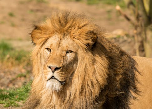 Ethiopia