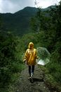 一名身穿黄色雨衣的女子撑着透明伞，走在郁郁葱葱的山路上