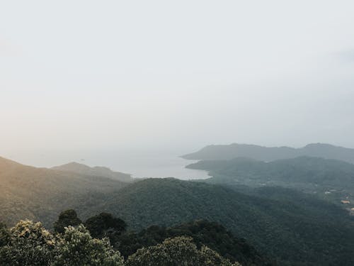 Immagine gratuita di bel paesaggio, foresta di montagna, montagne verdi