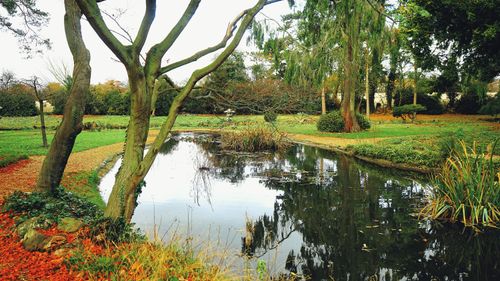 Free Tranquil pond surrounded by lush trees in rural UK during autumn. Stock Photo