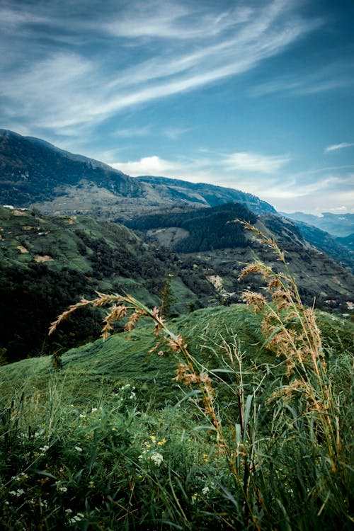 Безкоштовне стокове фото на тему «Canon, безкоштовні шпалери, гірські подорожі»