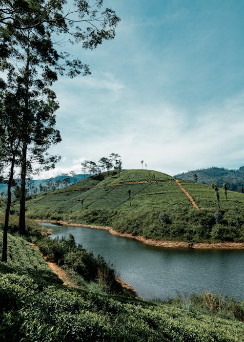 Free stock photo of adams peak, android wallpaper, beauty of nature