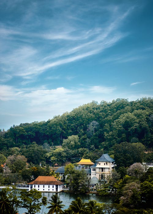 бесплатная бело коричневое бетонное здание в окружении зеленых деревьев под голубым небом Стоковое фото