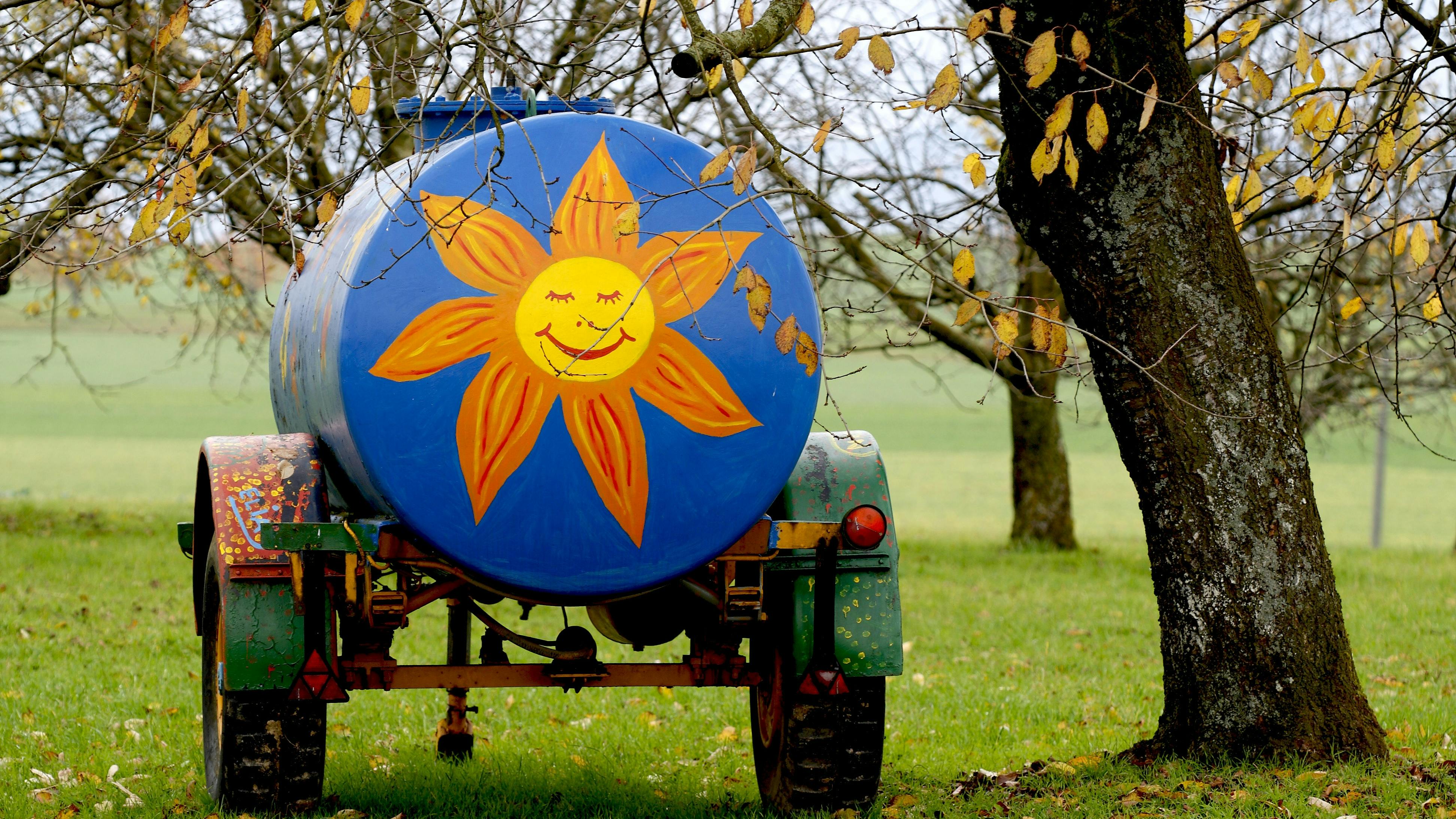 Hãng hàng không giá rẻ